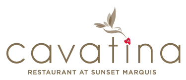 cavatina logo