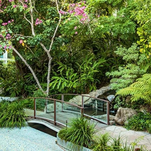 Bridge over Koi Pond